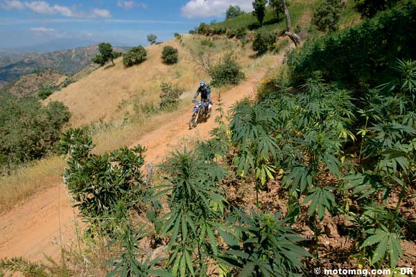 Le Maroc en enduro : sur la piste du cannabis