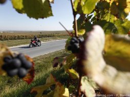 Balade moto en Champagne-Ardenne : la montagne de Reims (...)