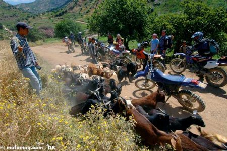 Maroc : motos, chèvres et chanvre