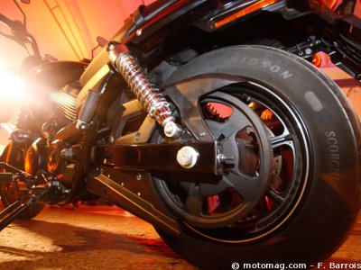 Harley-Davidson Street  500/750 : courroie