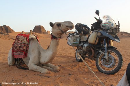 90.000 km en Afrique : des animaux et des hommes